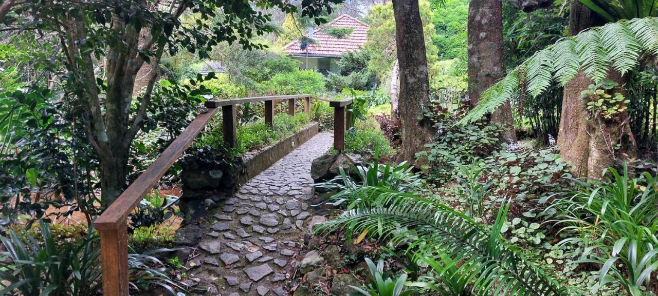 Gardens - Forest * Springbrook